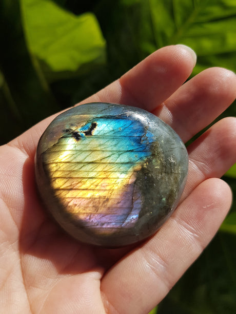 Labradorite crystal in hand