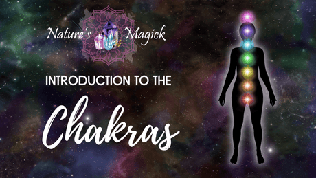 Introduction to the Chakra System - Nature's Magick