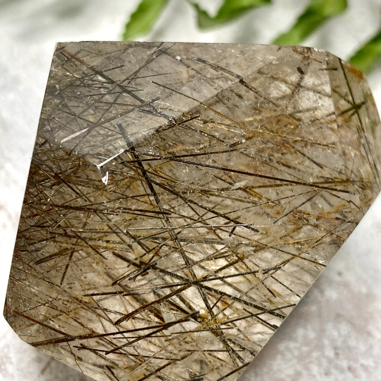 Rutilated Quartz