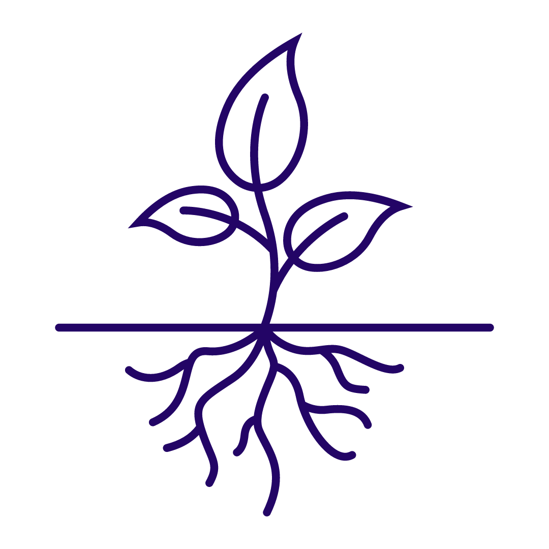 Nature's Magick Grounding Intention