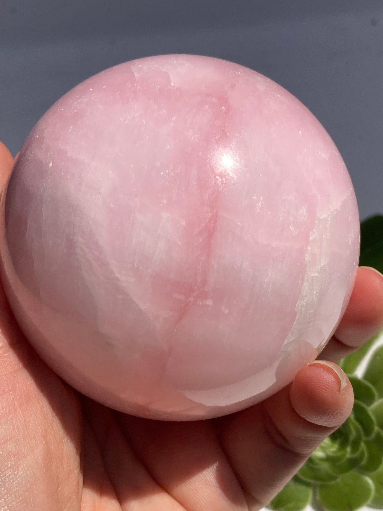 Pink Aragonite