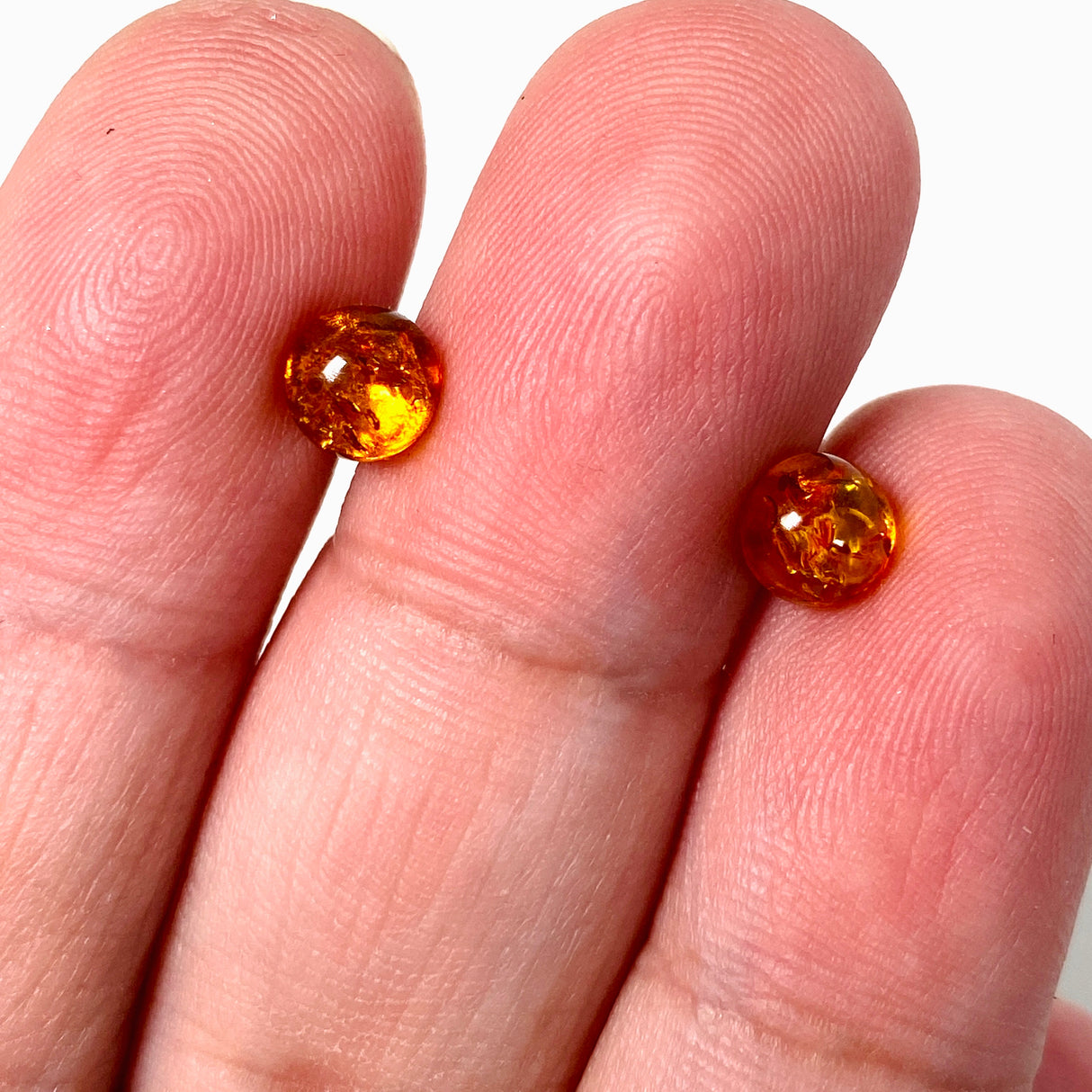 Baltic Amber round stud earrings