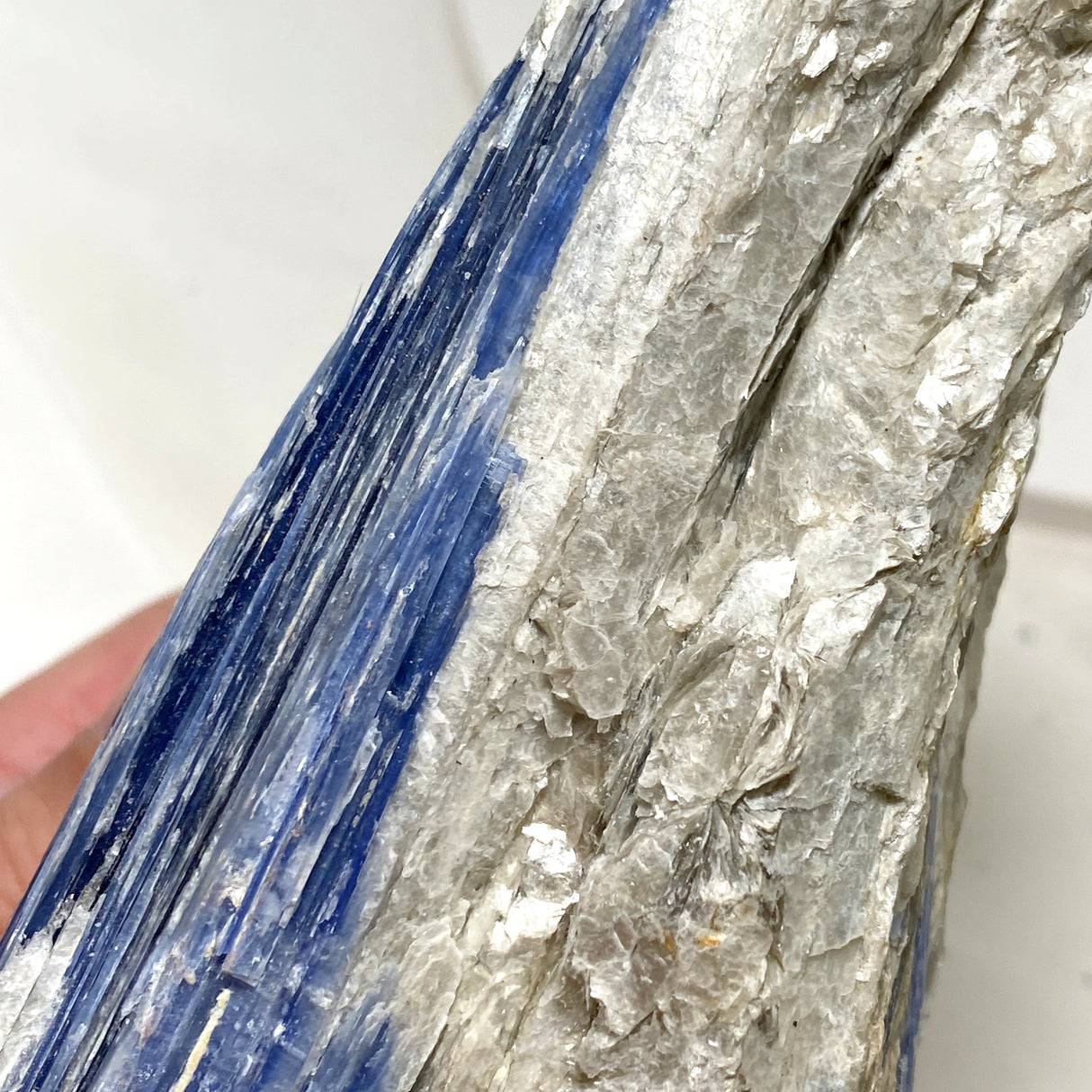 Blue Kyanite Crystal BKY-08