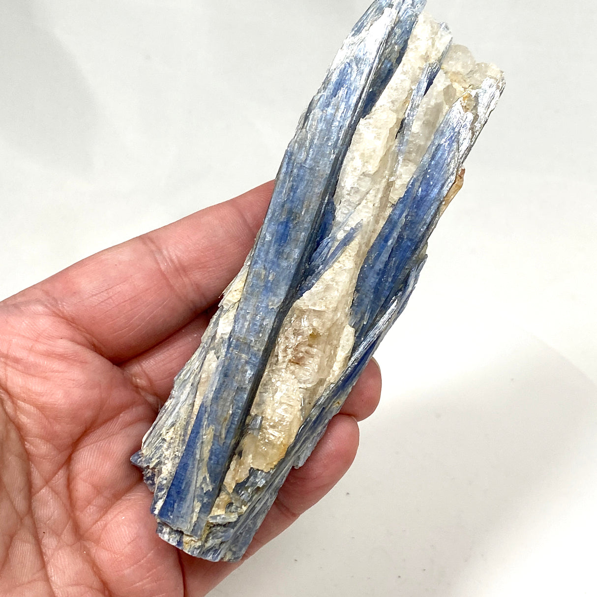 Blue Kyanite Crystal BKY-09