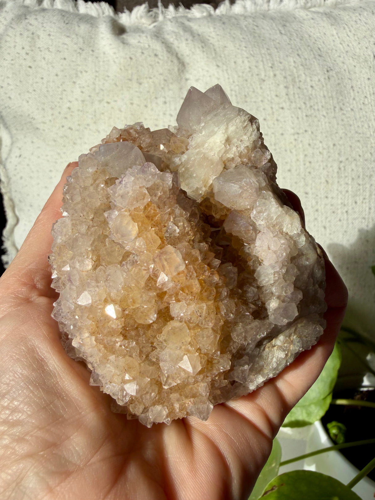 Spirit Quartz Cluster CR3568