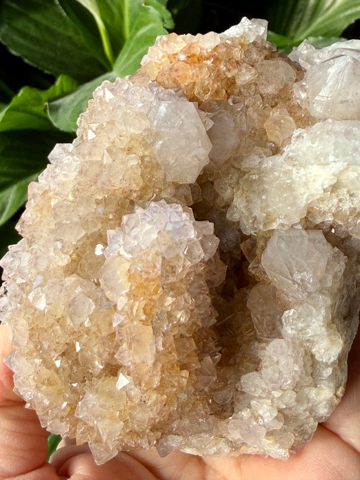 Spirit Quartz Cluster CR3568