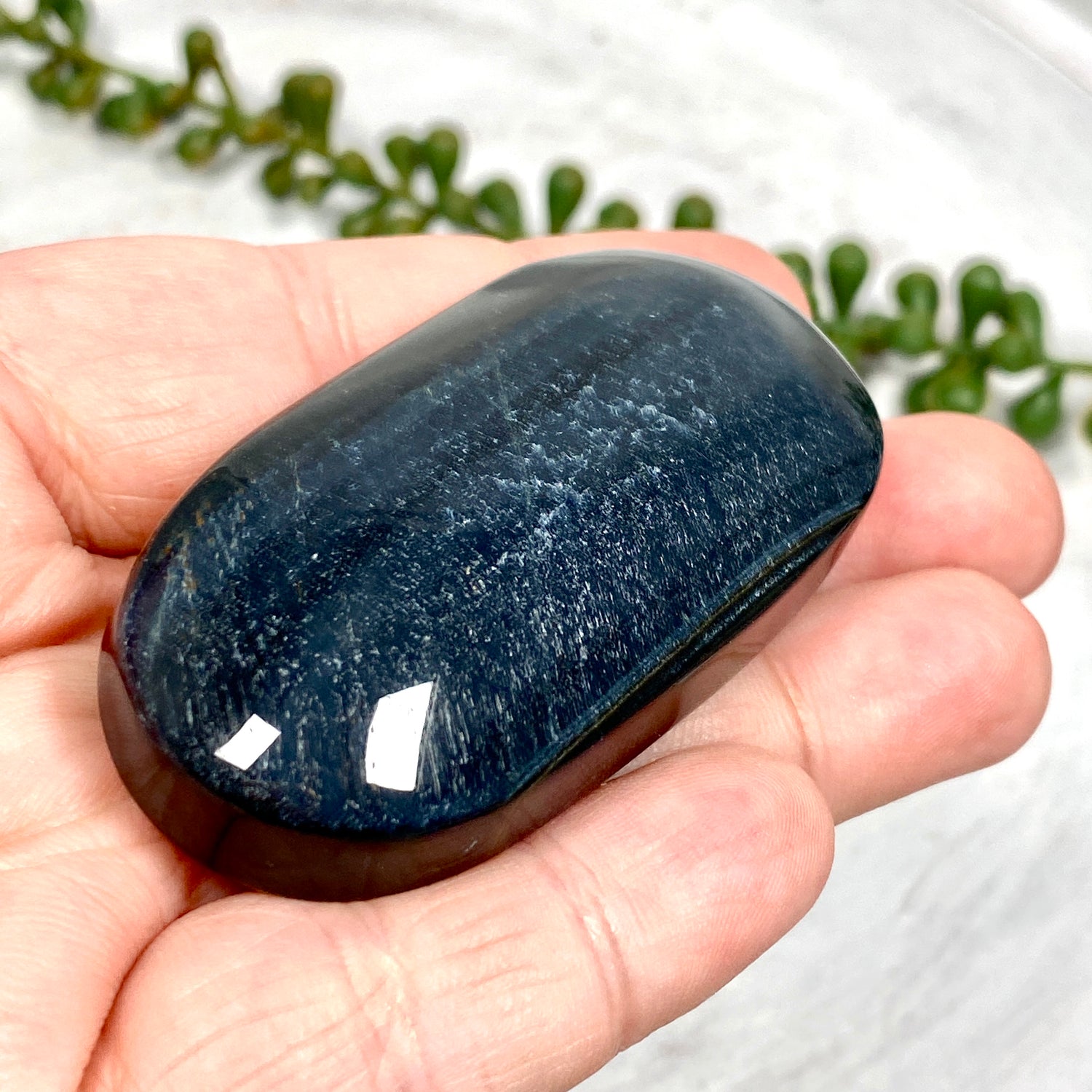 Tiger Eye Palmstone TEP-06