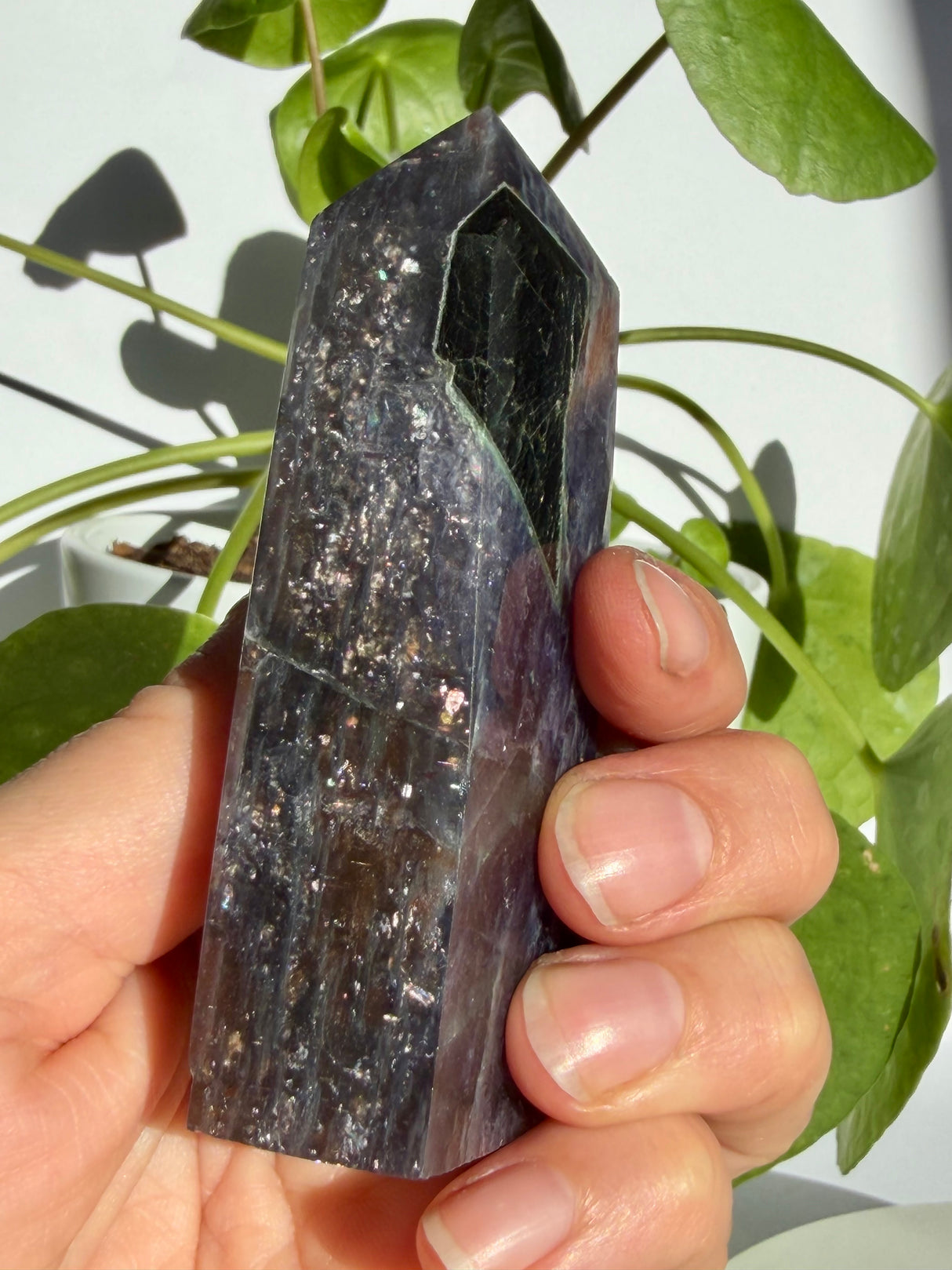 Sunstone in iolite point photographed near the tip, showing a dark blackish-green facet window at the apex