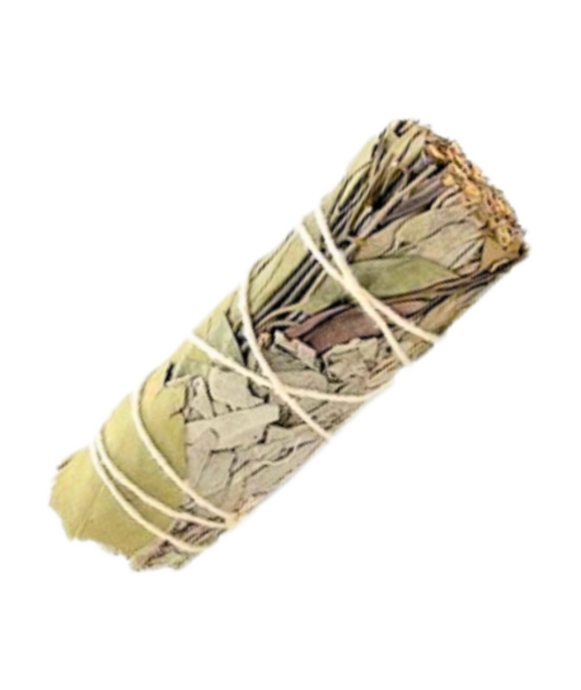Smudge Stick WHITE SAGE & EUCALYPTUS Small
