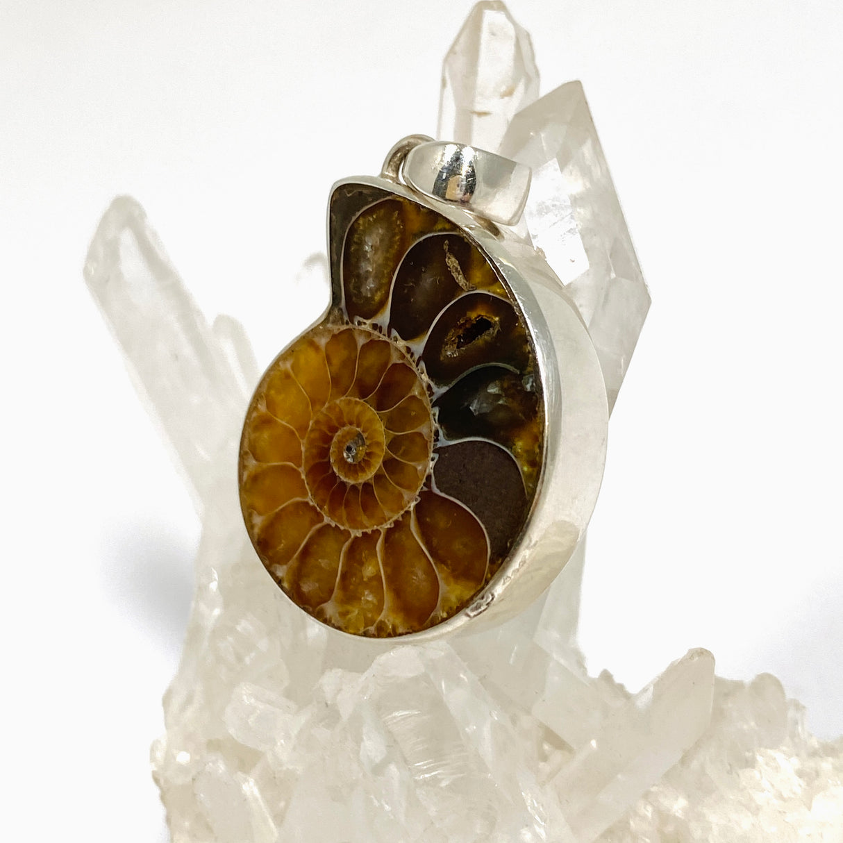 Ammonite Fossilised Shell Pendant PPGJ1321