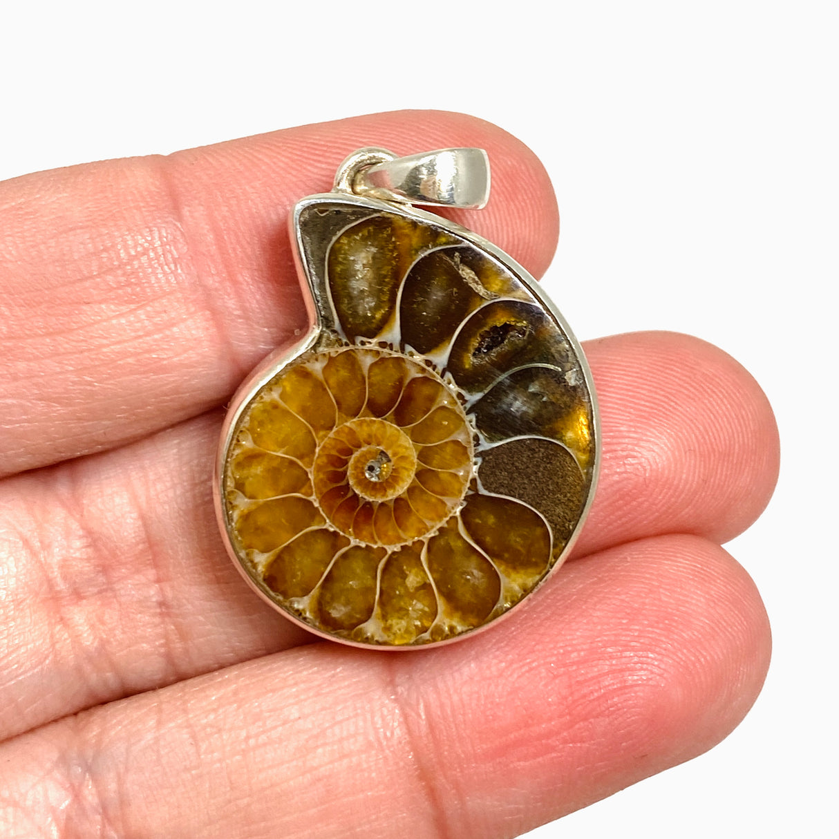 Ammonite Fossilised Shell Pendant PPGJ1321