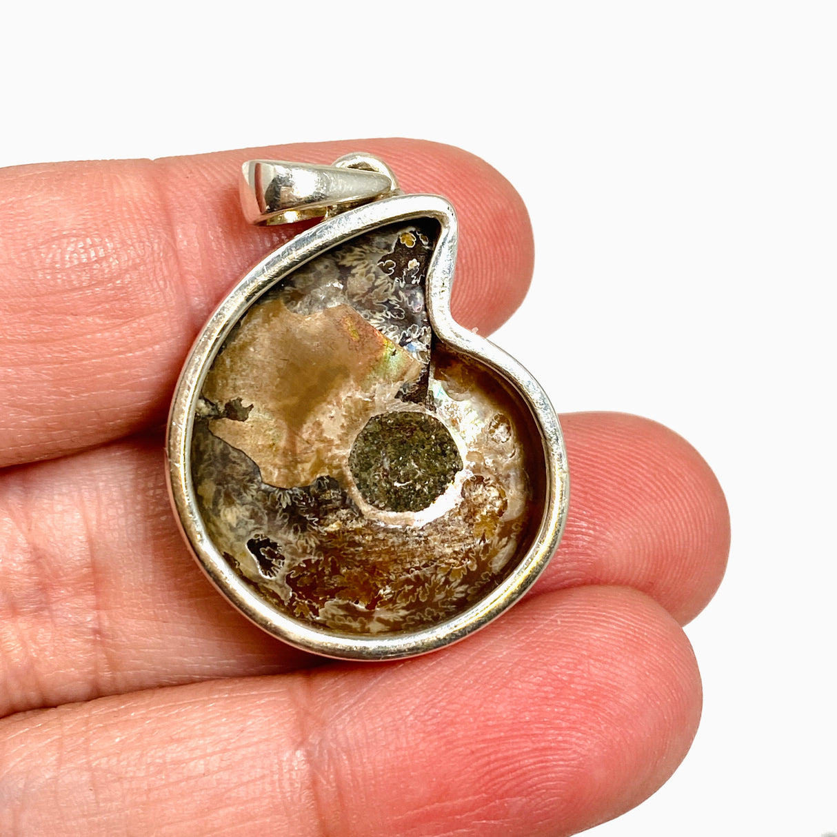 Ammonite Fossilised Shell Pendant PPGJ1321