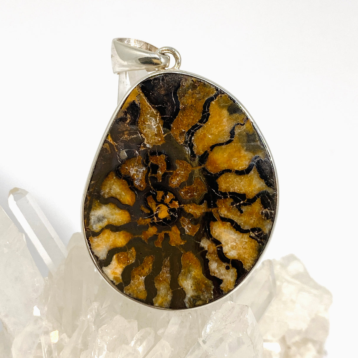 Ammonite Fossilised Shell Pendant PPGJ1322
