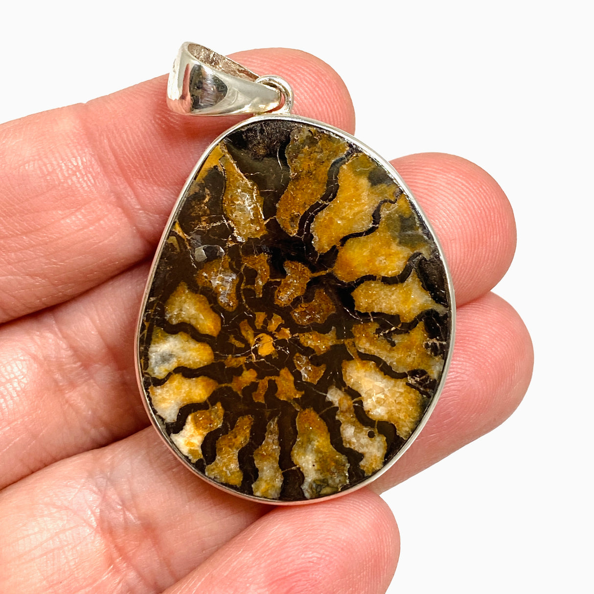 Ammonite Fossilised Shell Pendant PPGJ1322