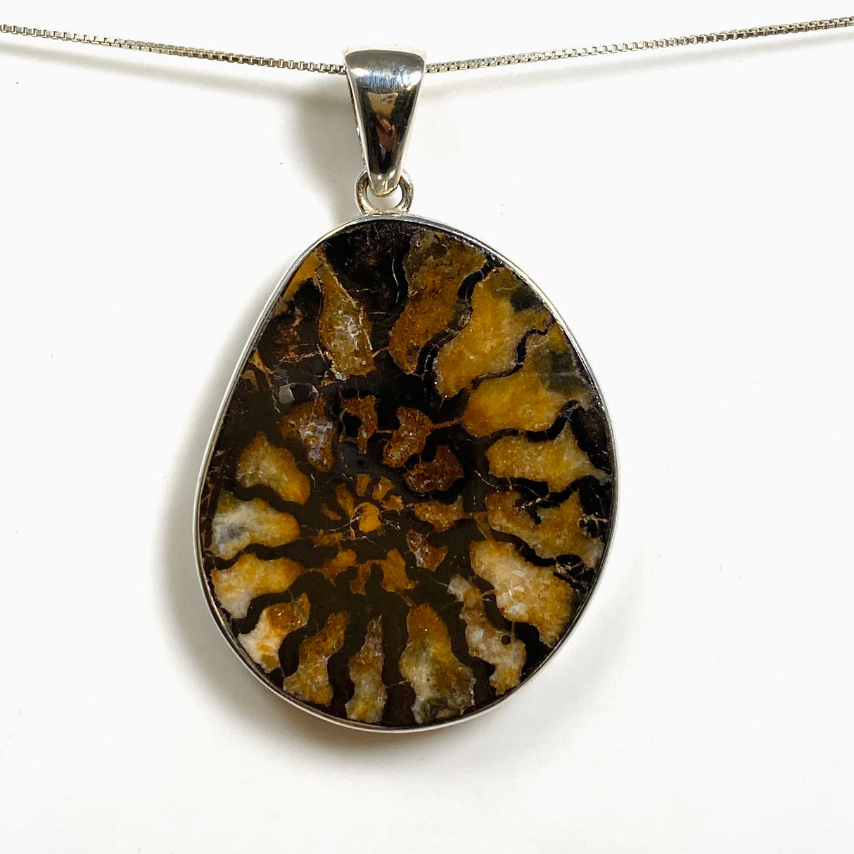 Ammonite Fossilised Shell Pendant PPGJ1322