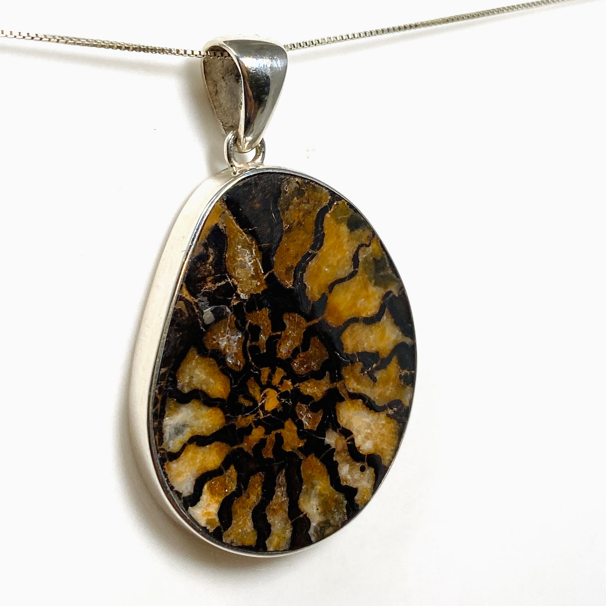 Ammonite Fossilised Shell Pendant PPGJ1322