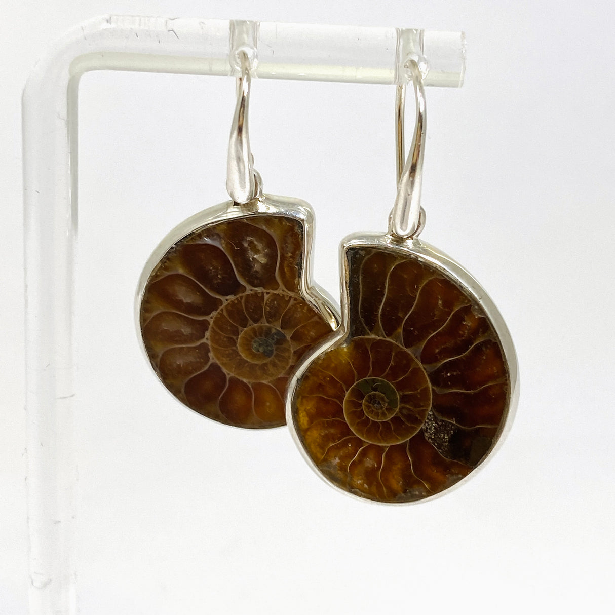 Ammonite Fossilised Shell Earring PEGJ414