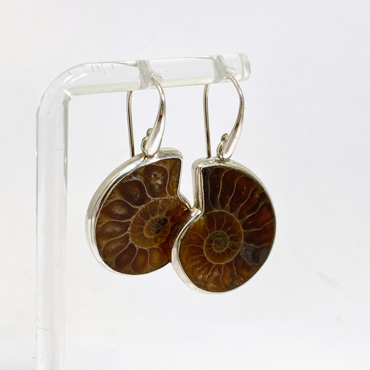 Ammonite Fossilised Shell Earring PEGJ414