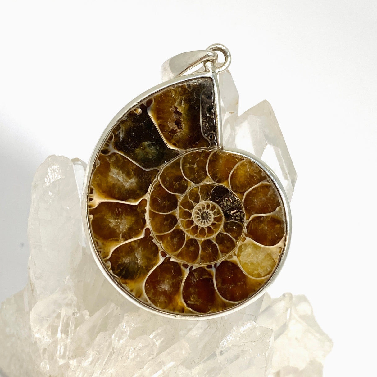 Ammonite Fossilised Shell Pendant PPGJ1320