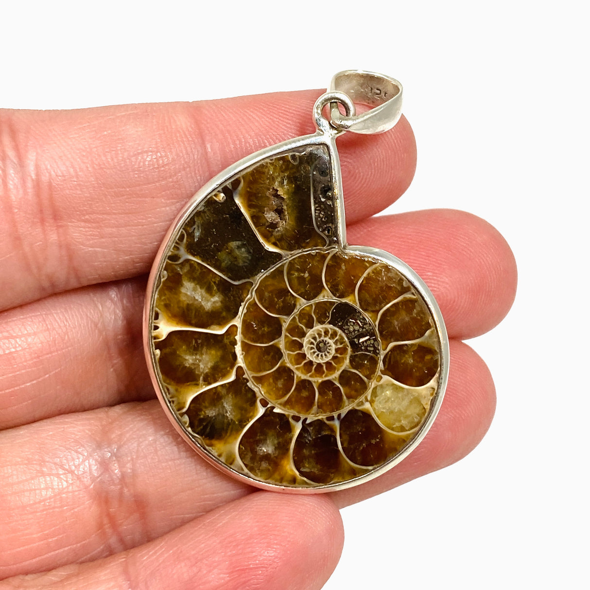 Ammonite Fossilised Shell Pendant PPGJ1320