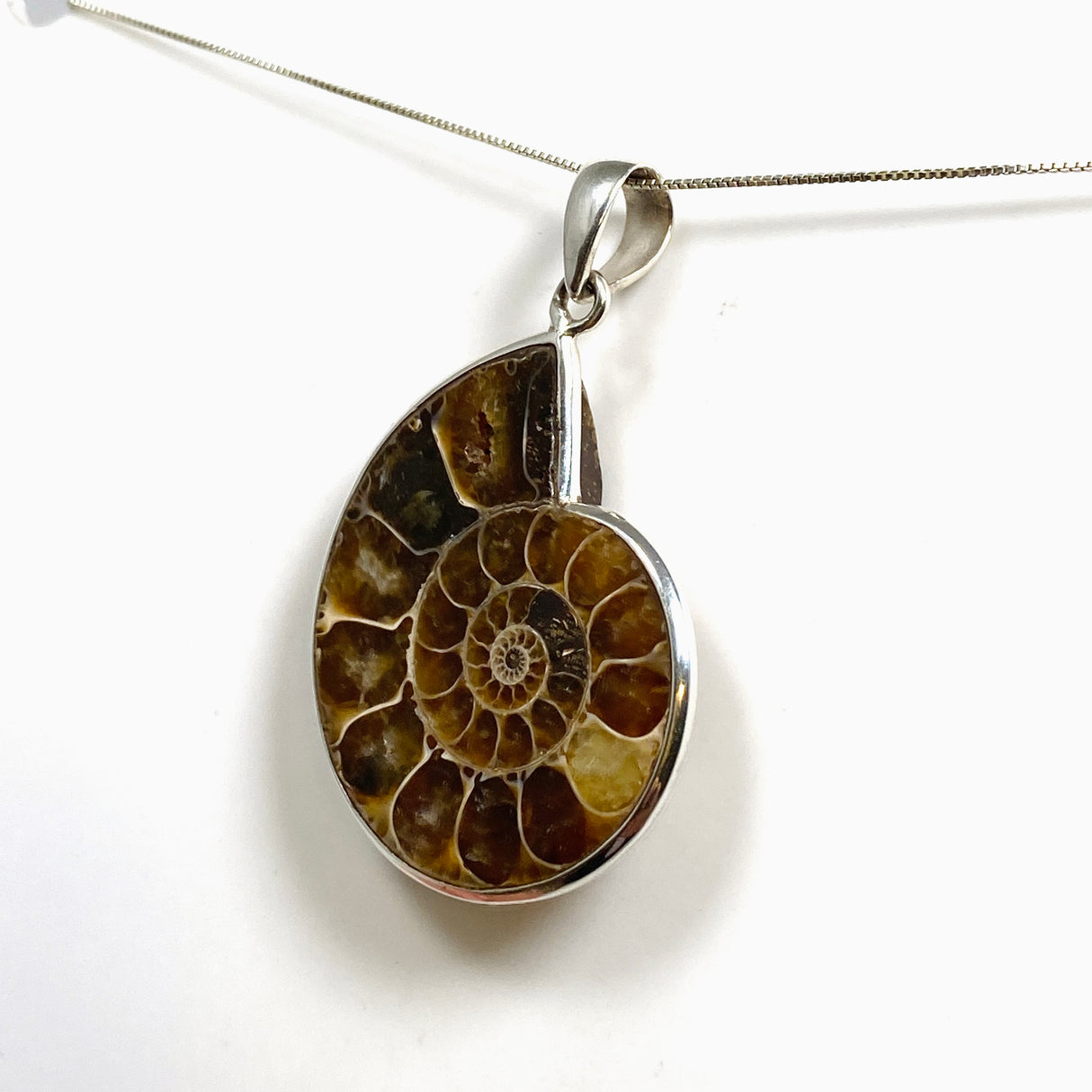 Ammonite Fossilised Shell Pendant PPGJ1320