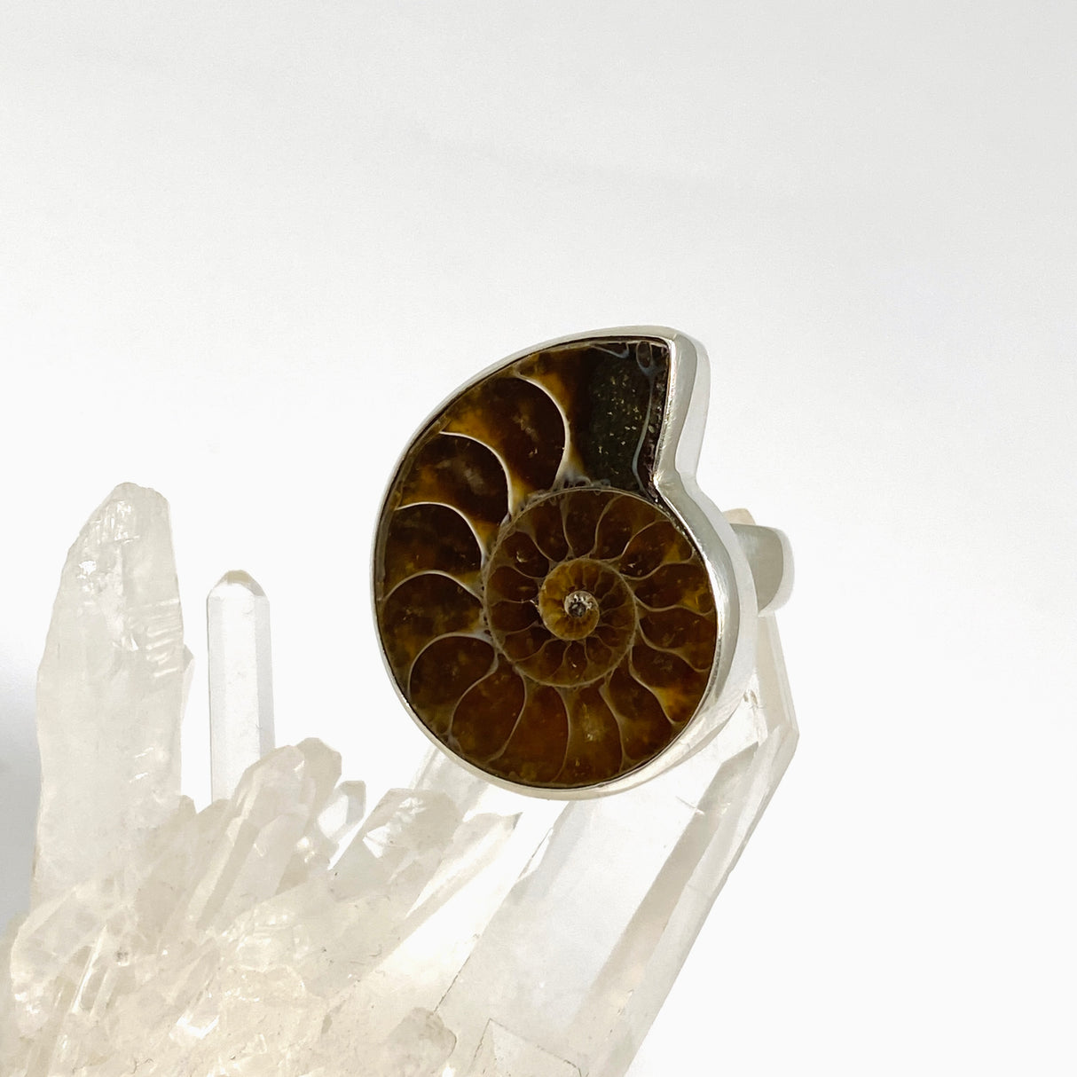 Ammonite Fossilised Shell Ring Size 9 PRGJ1038