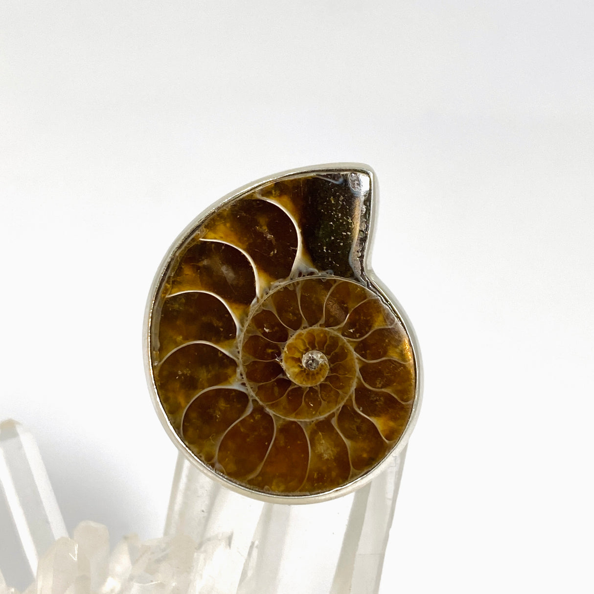 Ammonite Fossilised Shell Ring Size 9 PRGJ1038
