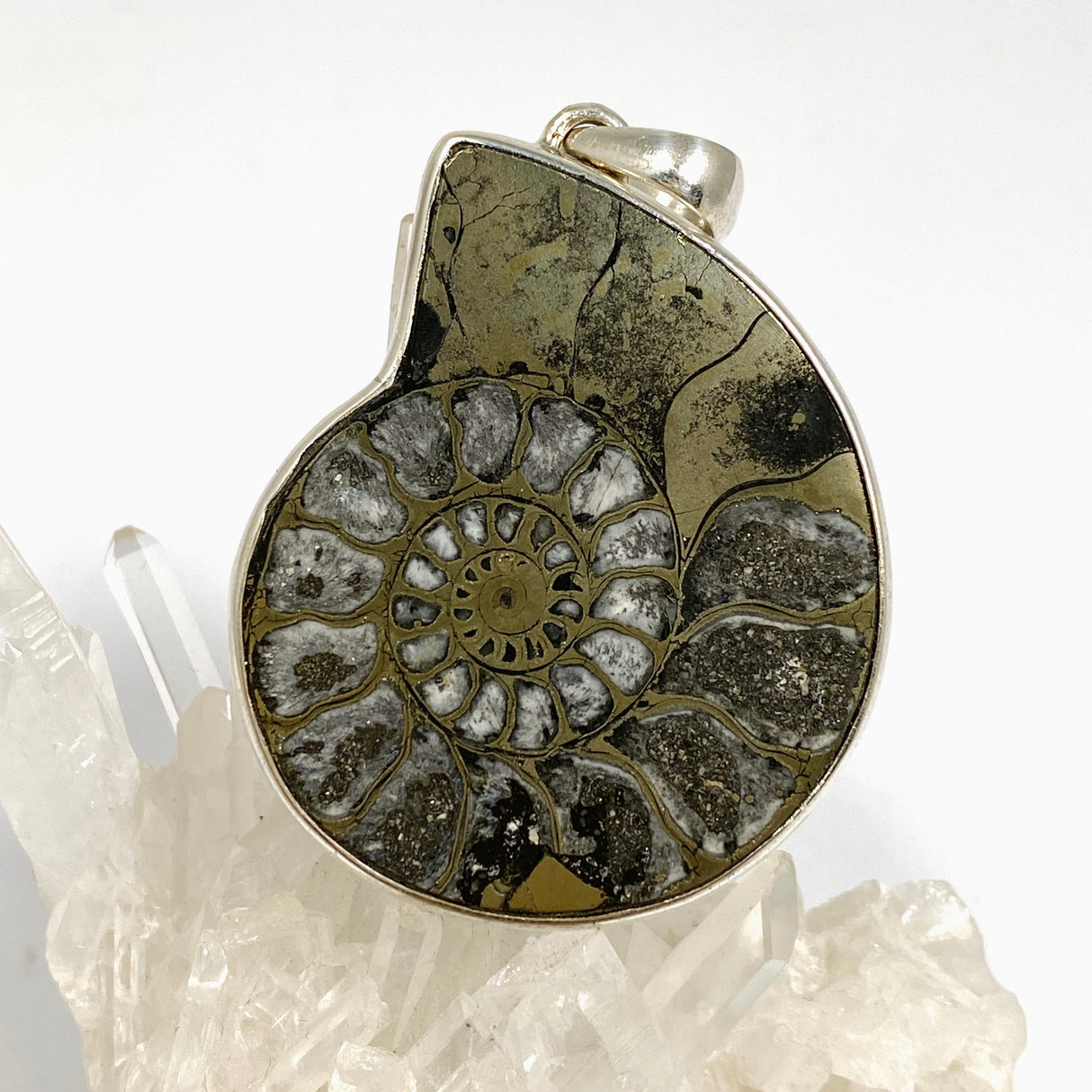 Ammonite Fossilised Shell with Pyrite Freeform Cabochon Pendant PPGJ1325