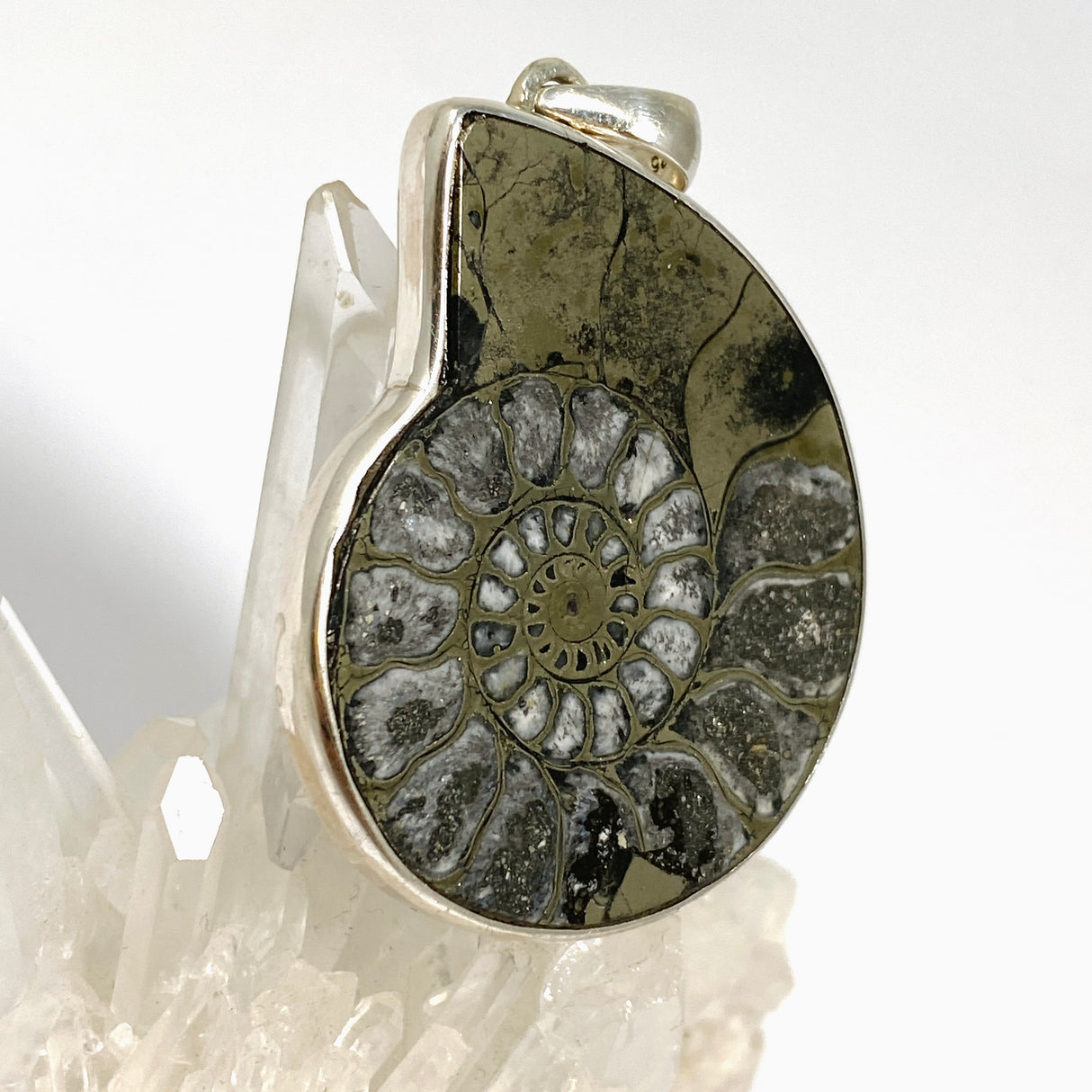 Ammonite Fossilised Shell with Pyrite Freeform Cabochon Pendant PPGJ1325