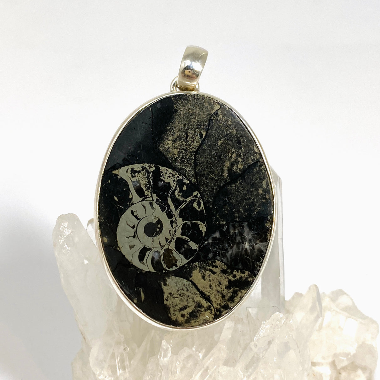 Ammonite Fossilised Shell with Pyrite Oval Cabochon Pendant PPGJ1324