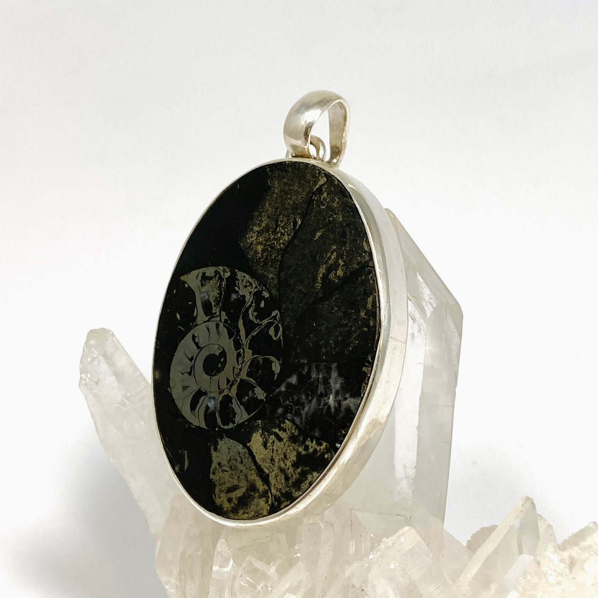 Ammonite Fossilised Shell with Pyrite Oval Cabochon Pendant PPGJ1324