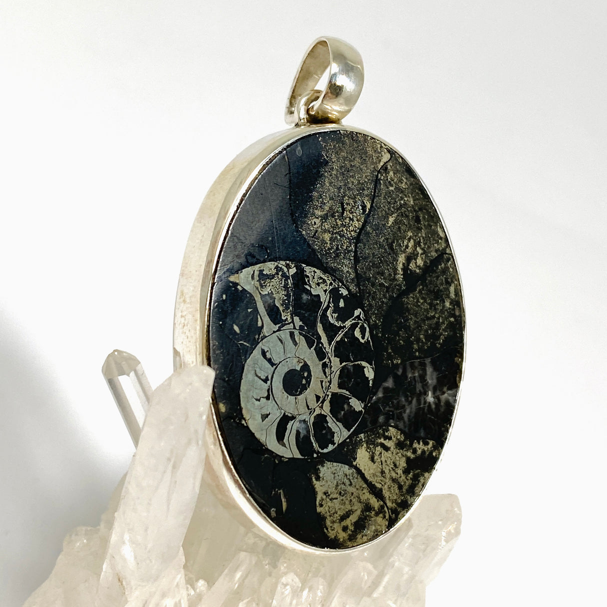 Ammonite Fossilised Shell with Pyrite Oval Cabochon Pendant PPGJ1324