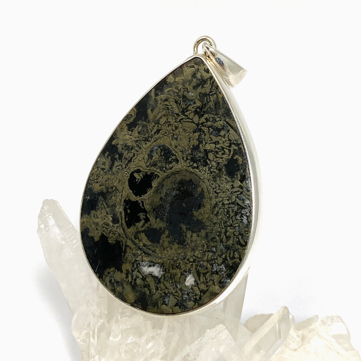 Ammonite Fossilised Shell with Pyrite Teardrop Cabochon Pendant PPGJ1323