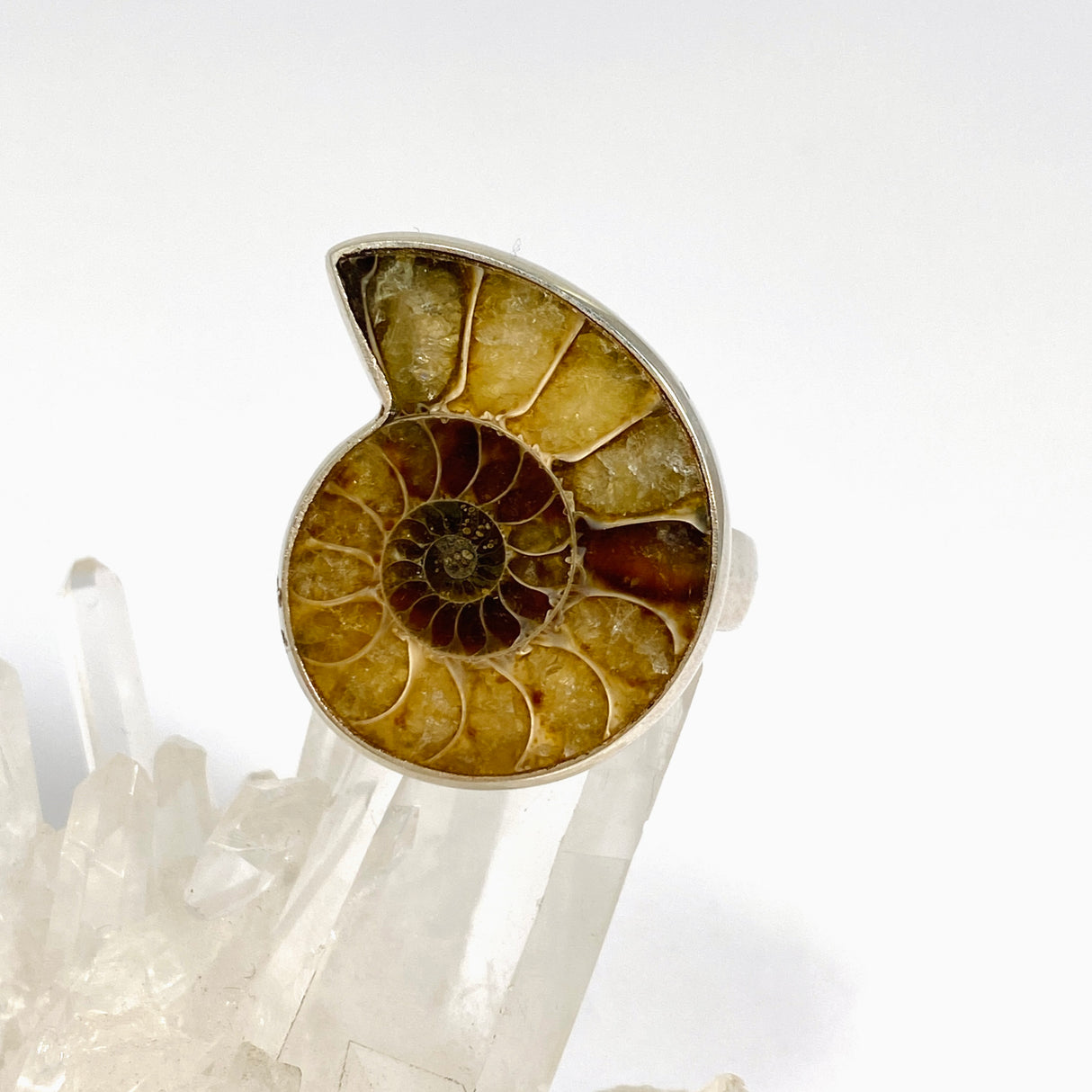 Ammonite Freeform Cabochon Ring Size 12 PRGJ919