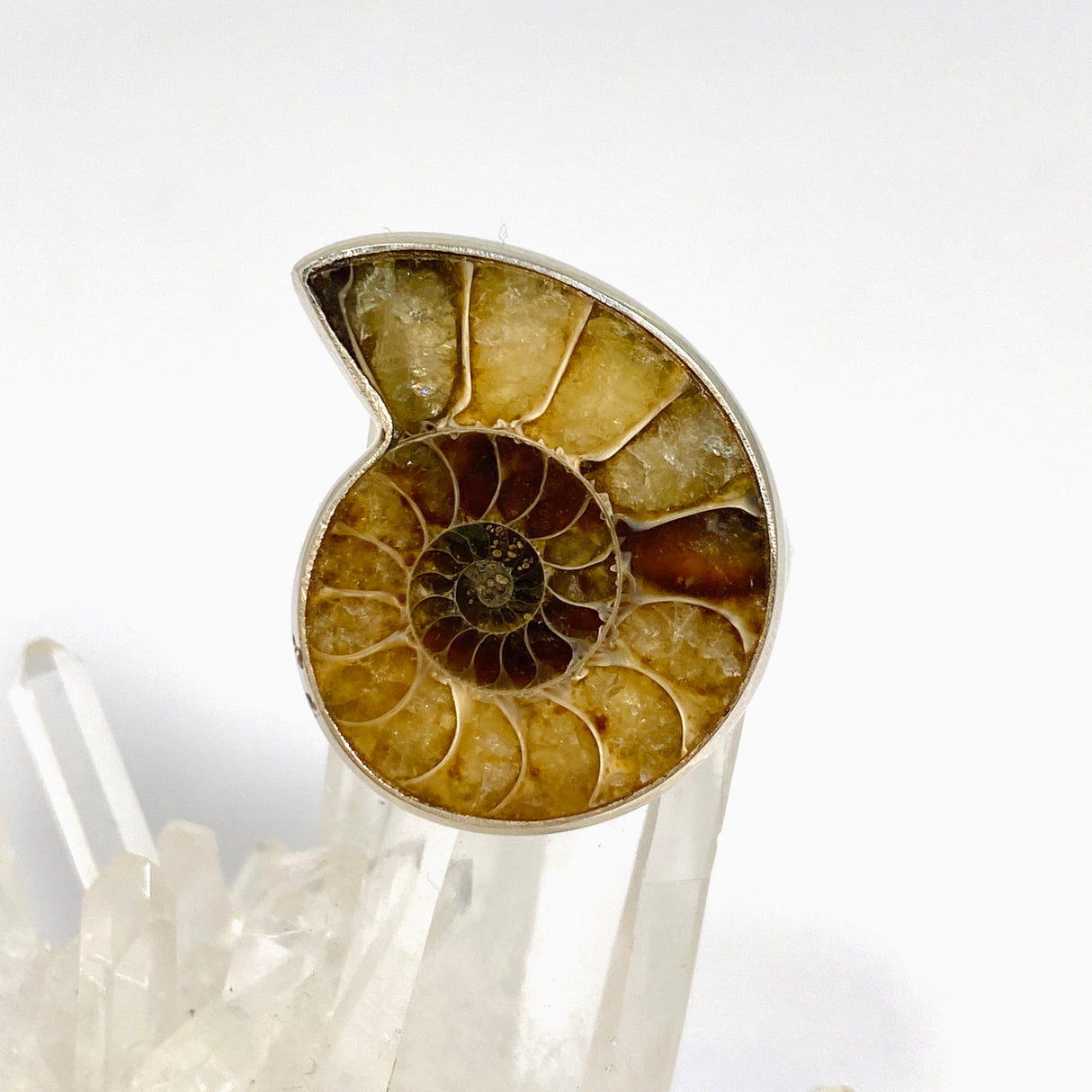 Ammonite Freeform Cabochon Ring Size 12 PRGJ919