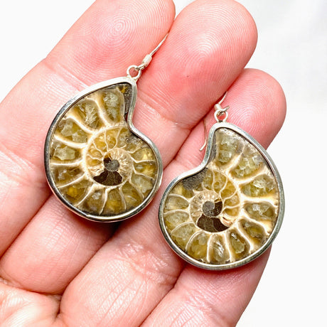 Ammonite Shell Earrings E2620-MED - Nature's Magick