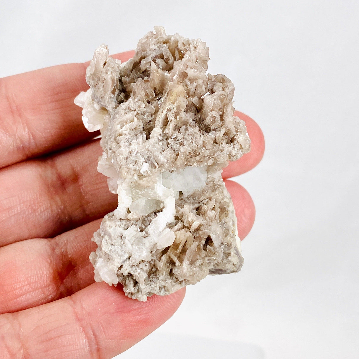 Axinite specimen AX-14 - Nature's Magick