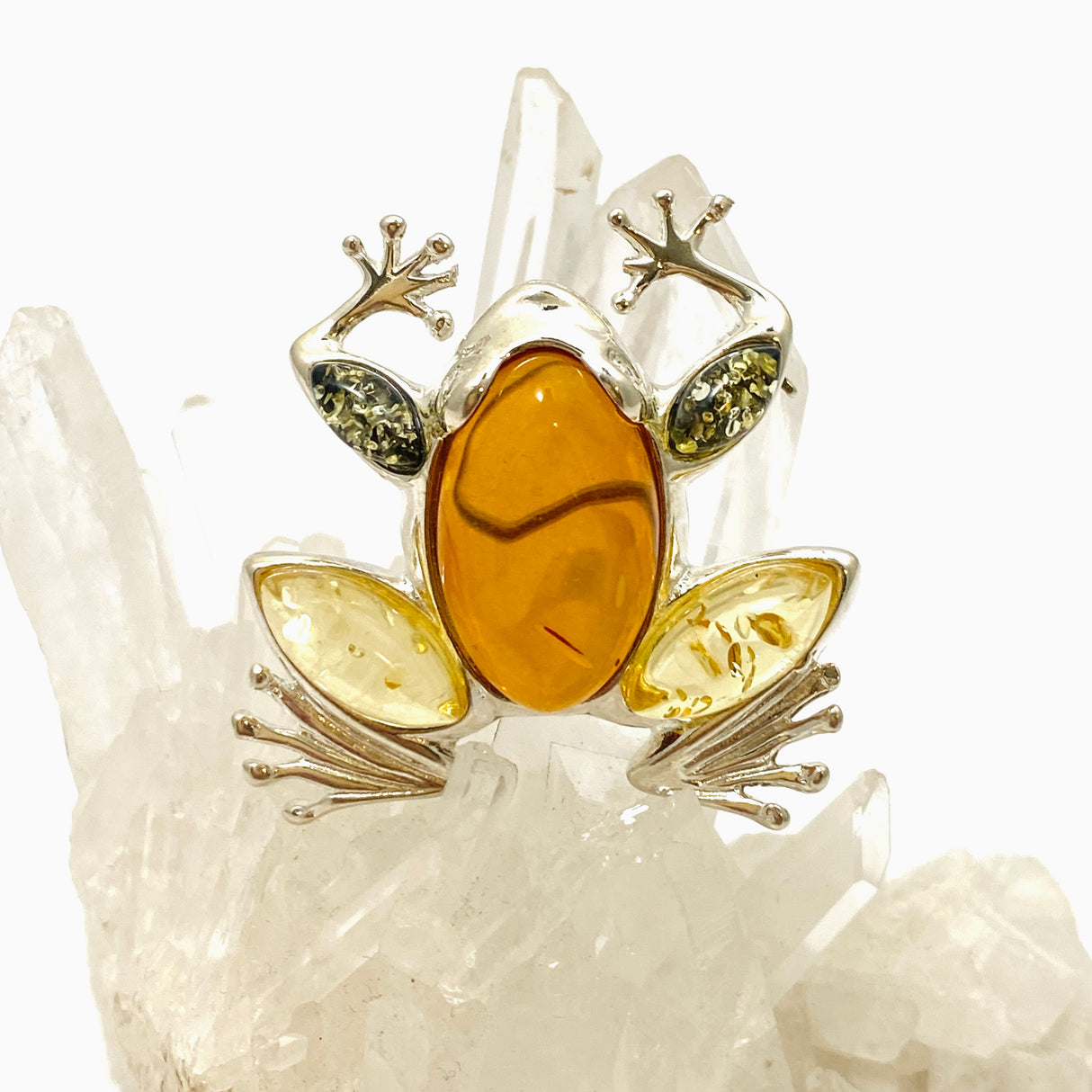 Baltic Amber Frog Brooch AMB286
