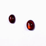 Baltic Amber oval stud earrings - Nature's Magick