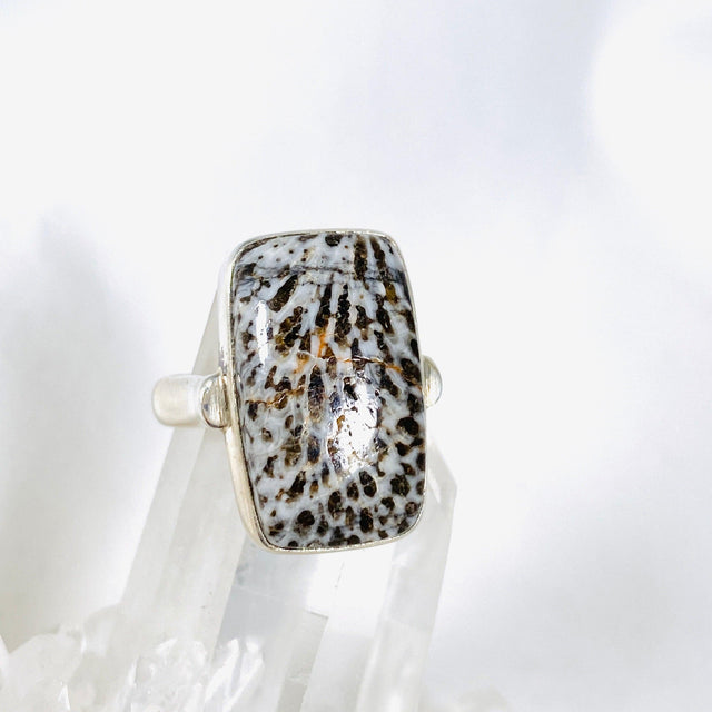 Black Coral rectangle ring s.8 KRGJ1734 - Nature's Magick