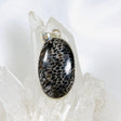 Black Fossilated Coral oval pendant KPGJ3130 - Nature's Magick