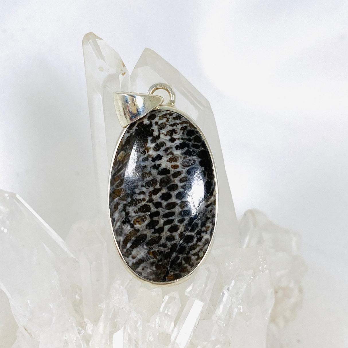 Black Fossilated Coral oval pendant KPGJ3130 - Nature's Magick
