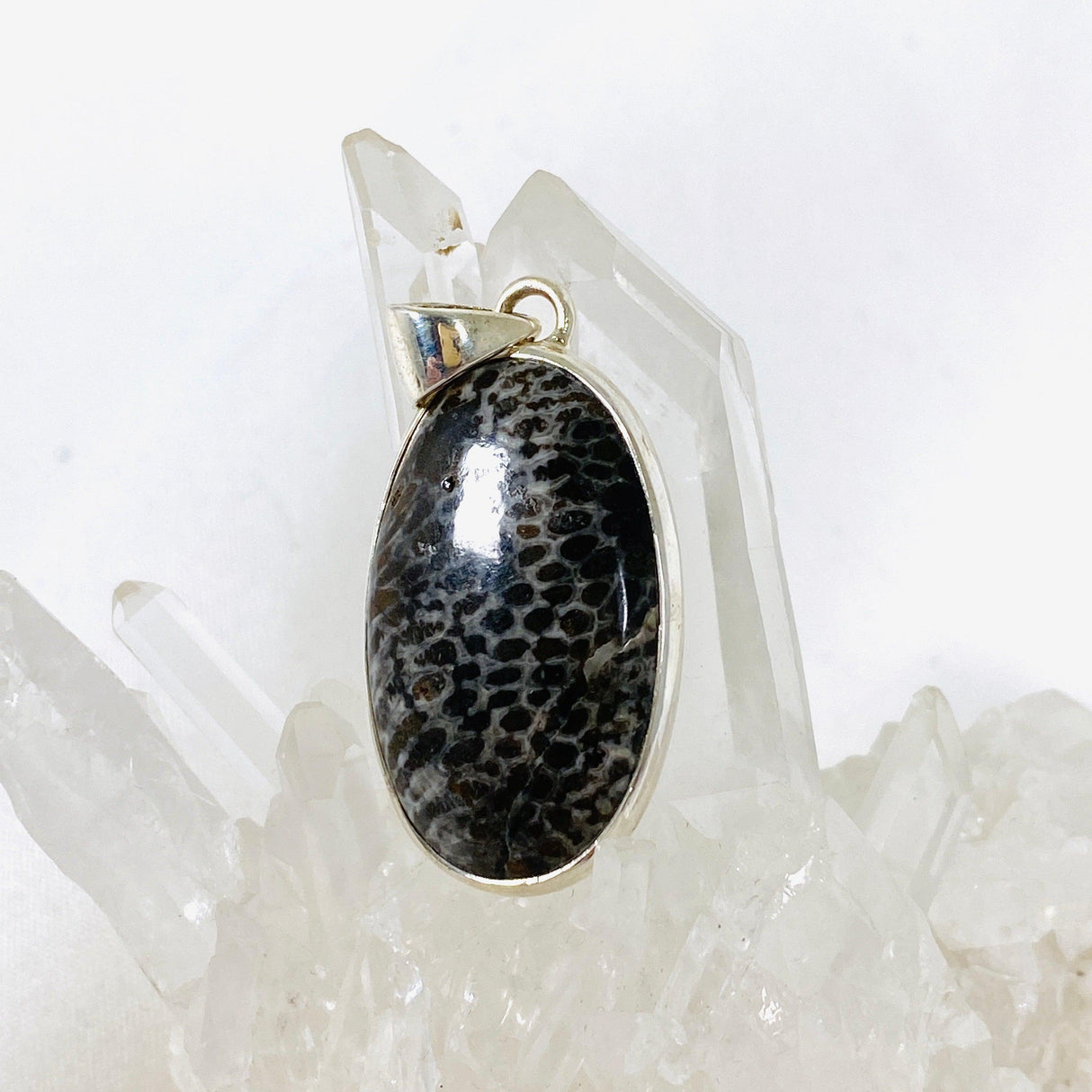 Black Fossilated Coral oval pendant KPGJ3130 - Nature's Magick