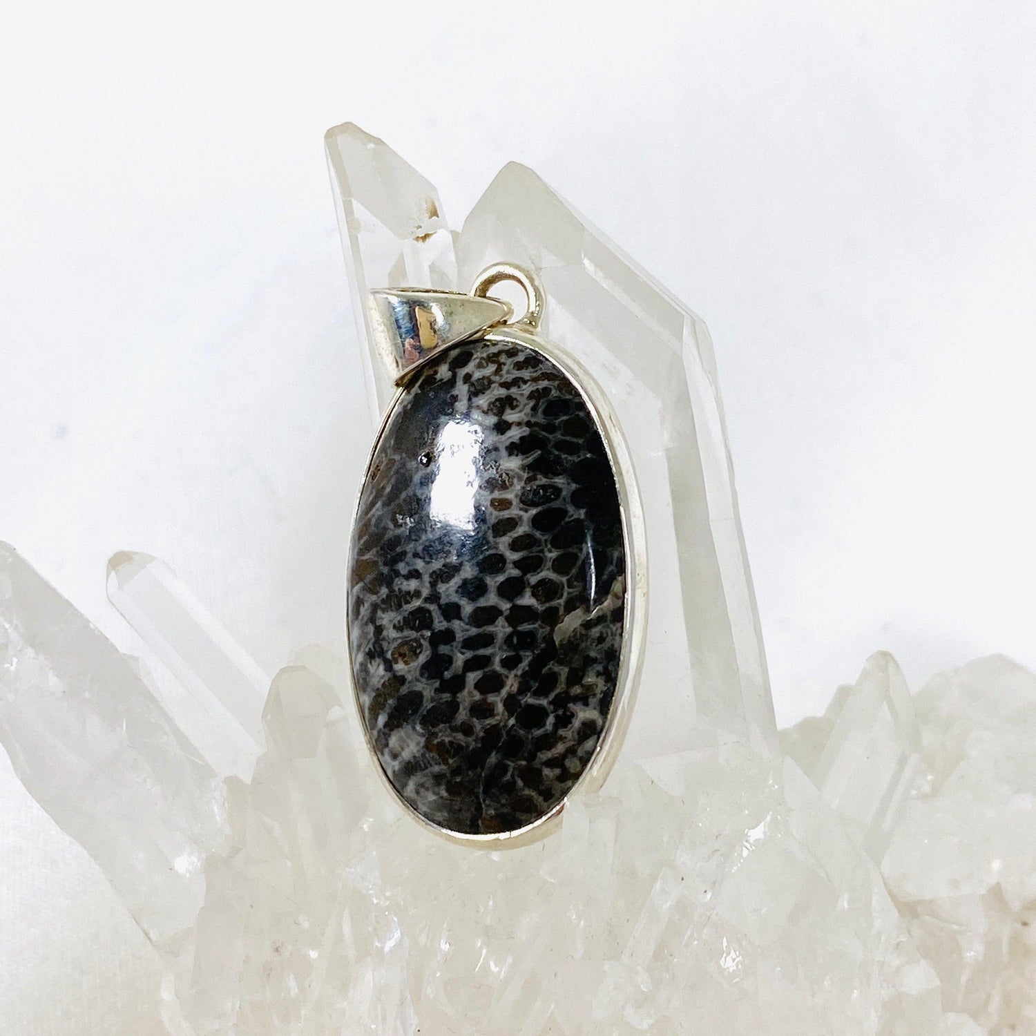 Black Fossilated Coral oval pendant KPGJ3130 - Nature's Magick