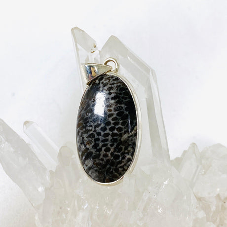 Black Fossilated Coral oval pendant KPGJ3130 - Nature's Magick