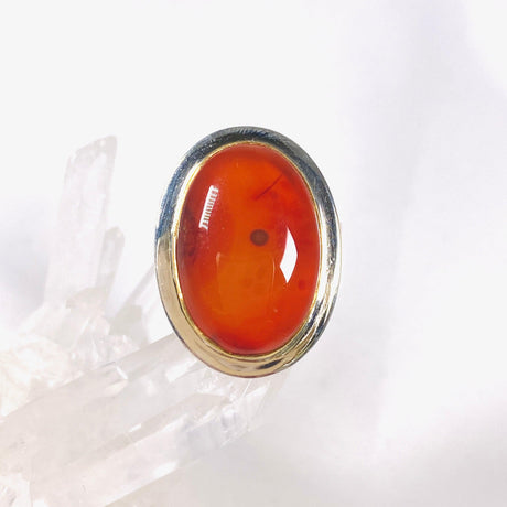 Carnelian oval ring with gold detailing s.7 KRGJ2864 - Nature's Magick