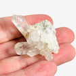 Clear Quartz Mini Cluster up to 40g CQMC-02 - Nature's Magick
