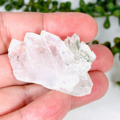 Clear Quartz skeletal crystal CQ-35 - Nature's Magick