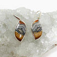 Crazy Lace Agate Freeform Earrings PEGJ162 - Nature's Magick