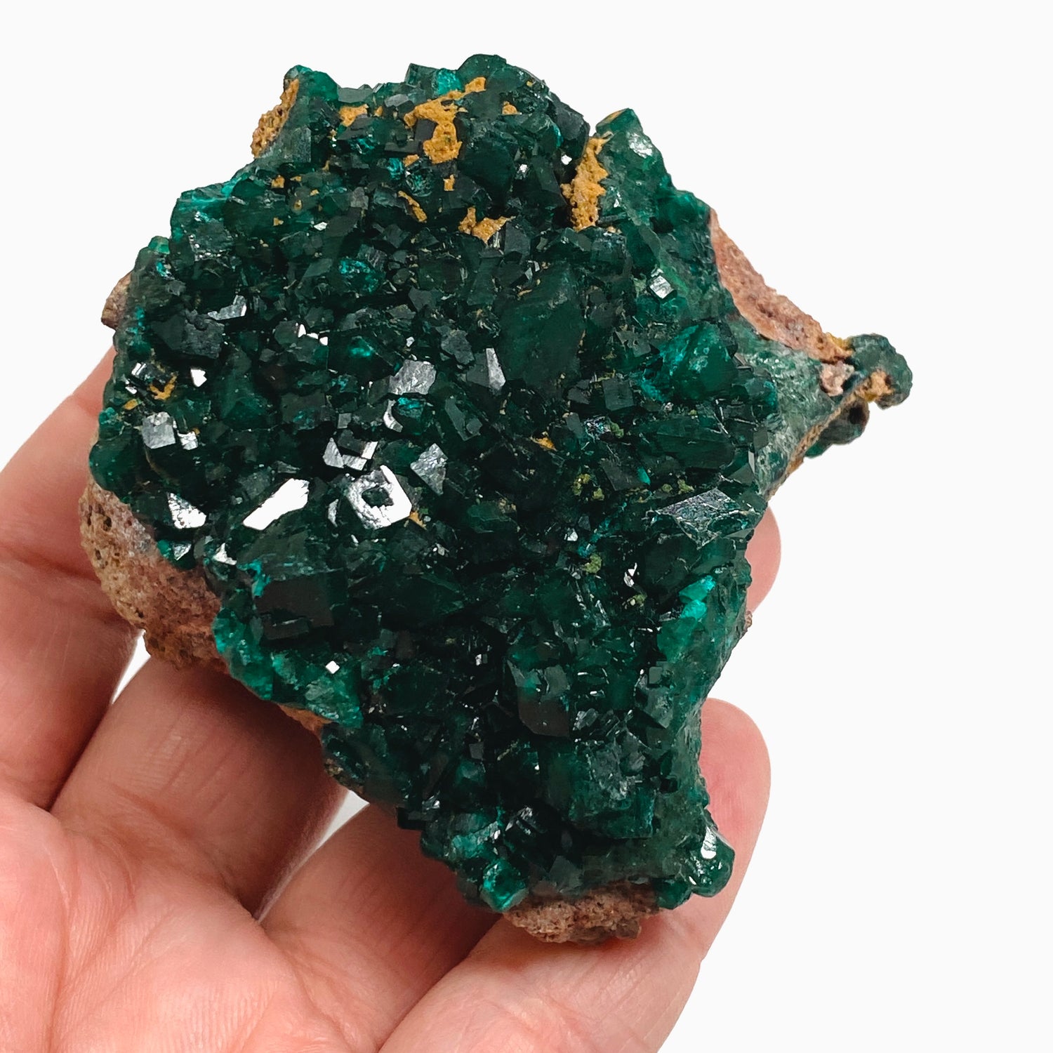 Dioptase Crystal Specimen - Congo CR3744